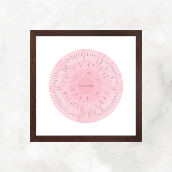 Pink Ombre: Linked Descendancy Circle Chart