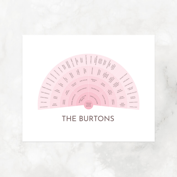 Pink Ombre: Ancestry Fan Chart